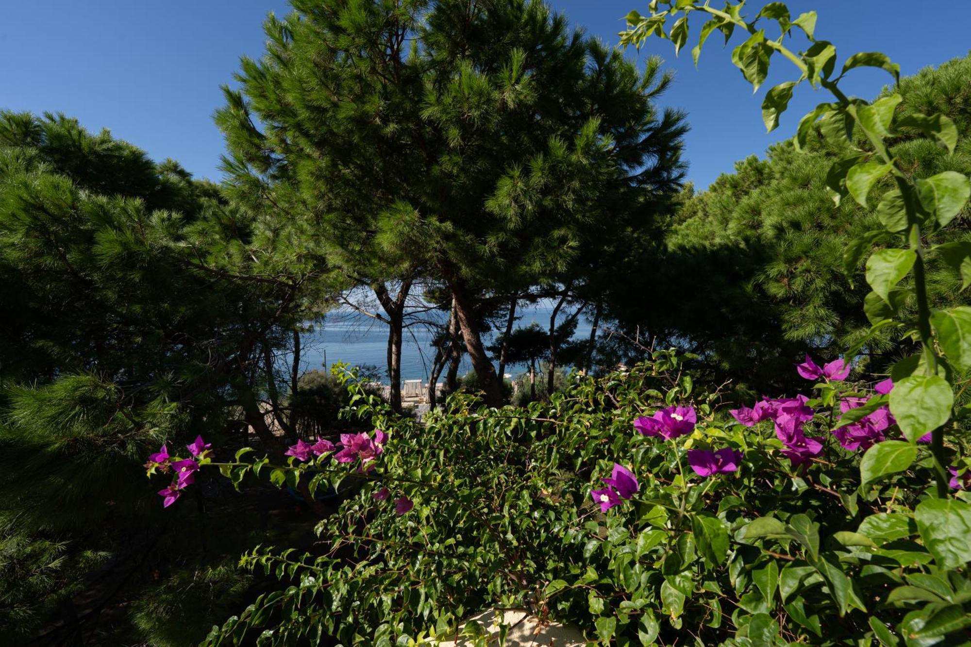 Praia Art Resort - Small Luxury Hotels Of The World (Adults Only) レ・カステッラ エクステリア 写真